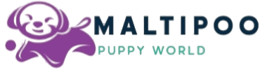 Maltipoo Puppy World